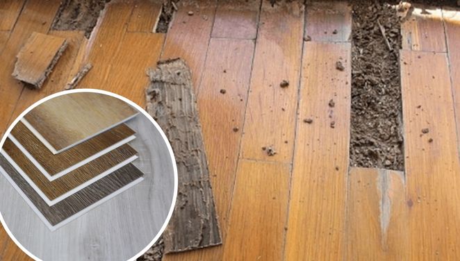 Giải pháp nào cho sàn gỗ khách sạn bị thấm nước, cong vênh, mối mọt?